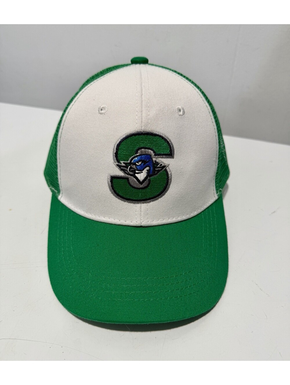 Unbranded Springfield Thunderbirds Cap Hat OSFA Adjustable Strap AHL Hockey Fit